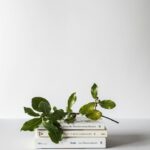 桜心理恵比寿Books